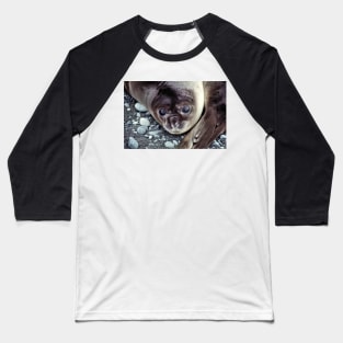 Babies, Nose to Tail. Southern Elephant Seal Pups, Macquarie Island Baseball T-Shirt